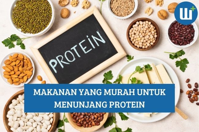 Makanan yang Murah untuk Menunjang Kebutuhan Protein